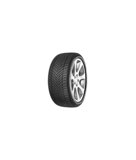 Minerva 205/45R17 88W All Season Master
