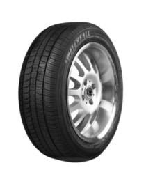 Waterfall 215/55R17 94H Quattro 4S